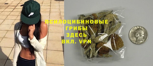 PSILOCYBIN Лабытнанги