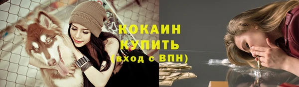 амф Ладушкин