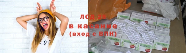 PSILOCYBIN Лабытнанги