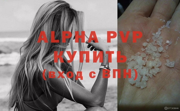 амф Ладушкин