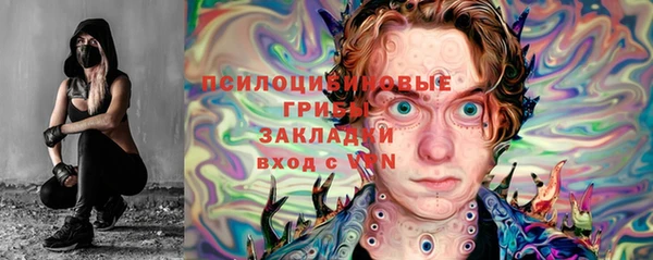 гидропоника Лагань