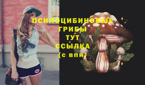 PSILOCYBIN Лабытнанги