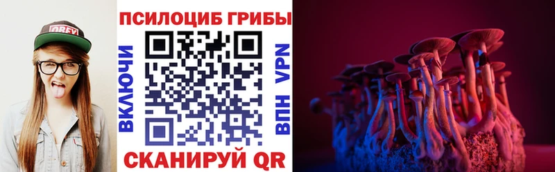 Купить закладки  Новохопёрск  Галлюциногенные грибы прущие грибы 